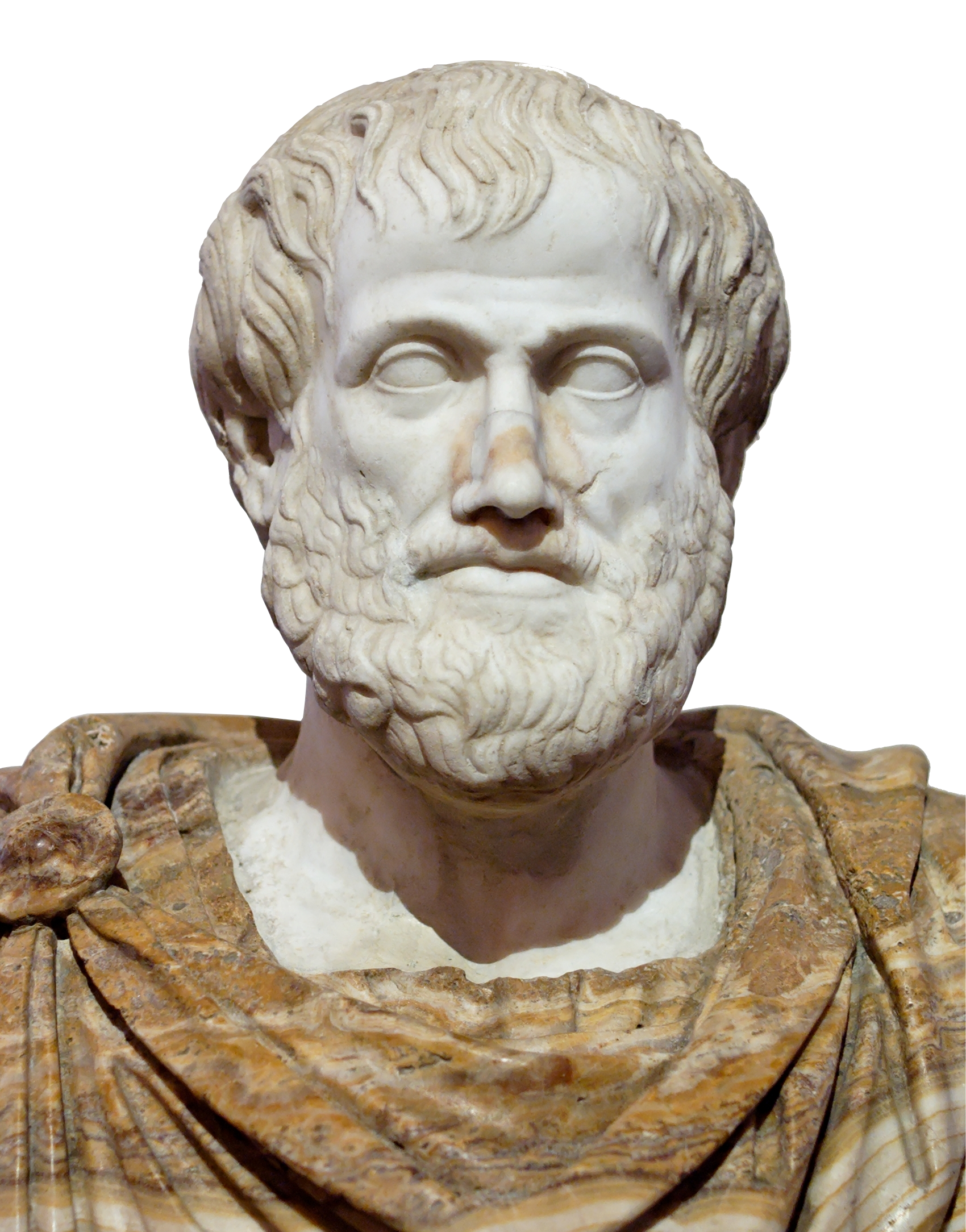 Aristote